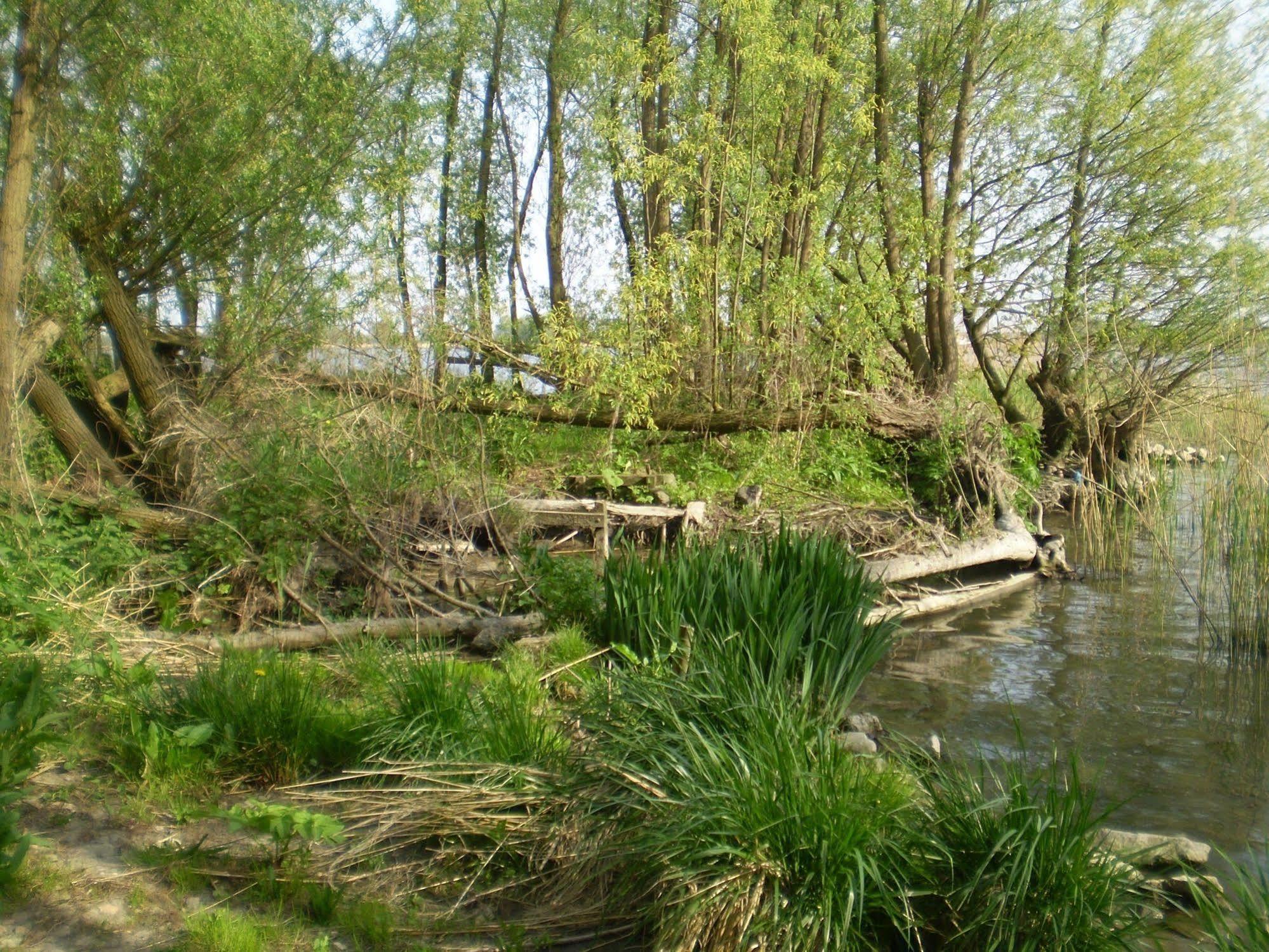 De Brabantse Biesbosch Hotel Werkendam Exterior photo